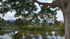 A calm lake with reflections of trees and a house in the background.