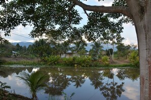 Exterior - Bungalows HyE (Satipo)