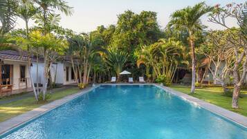Una piscina rettangolare con superficie d'acqua cristallina, circondata da vegetazione lussureggiante e palme.