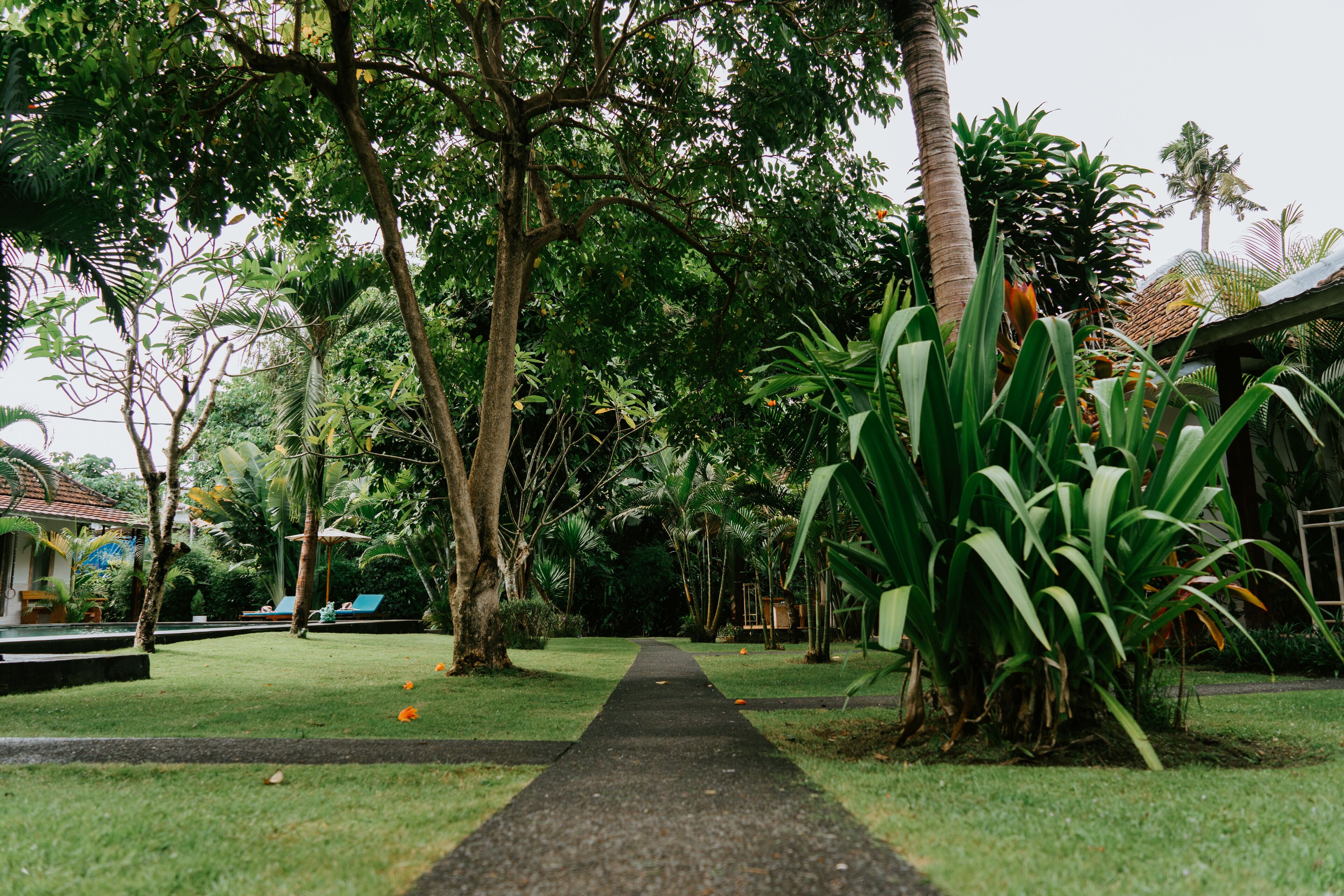 Foto - Agung Wiwin Homestay