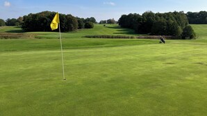 Un campo da golf con una bandiera, alberi e un giocatore in lontananza.