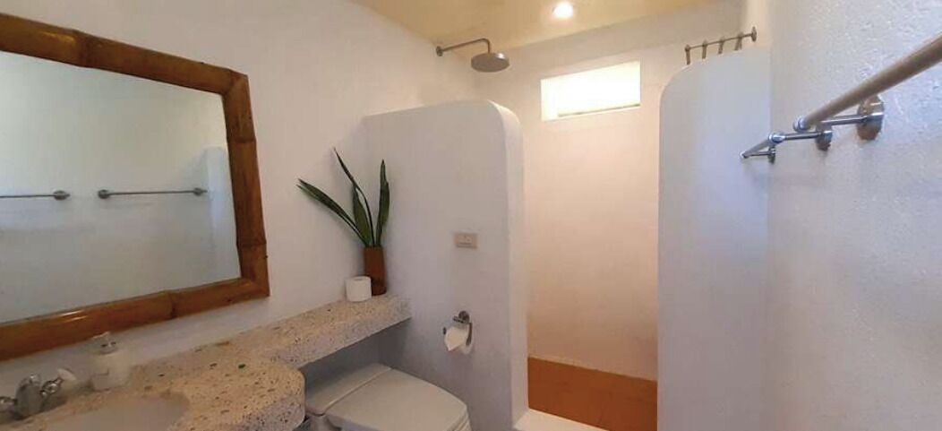 A bathroom with a sink, toilet, mirror, shower, and a potted plant.