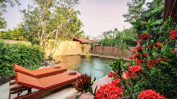 Vista al jardín