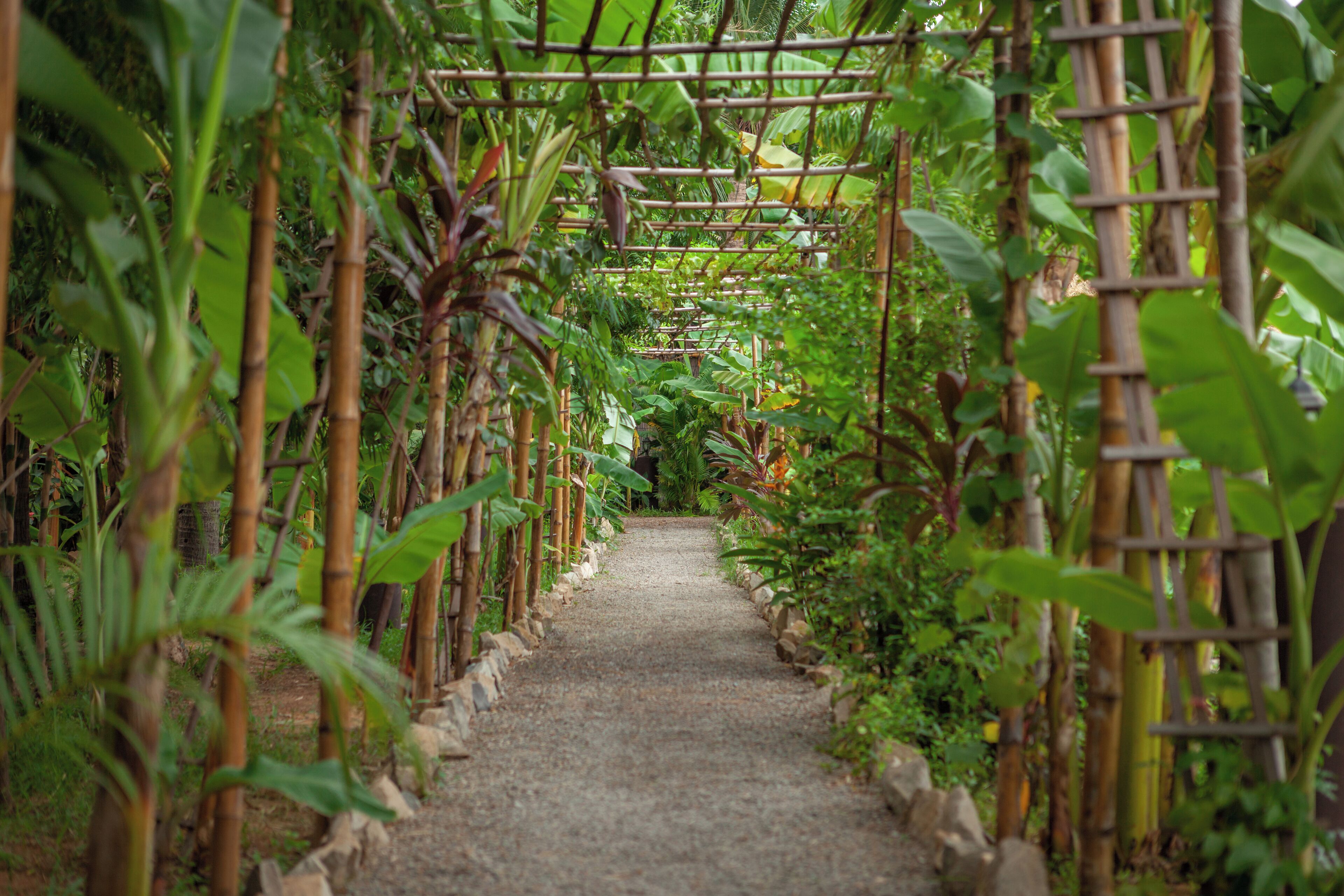 Foto - Authentic Khmer Village Resort