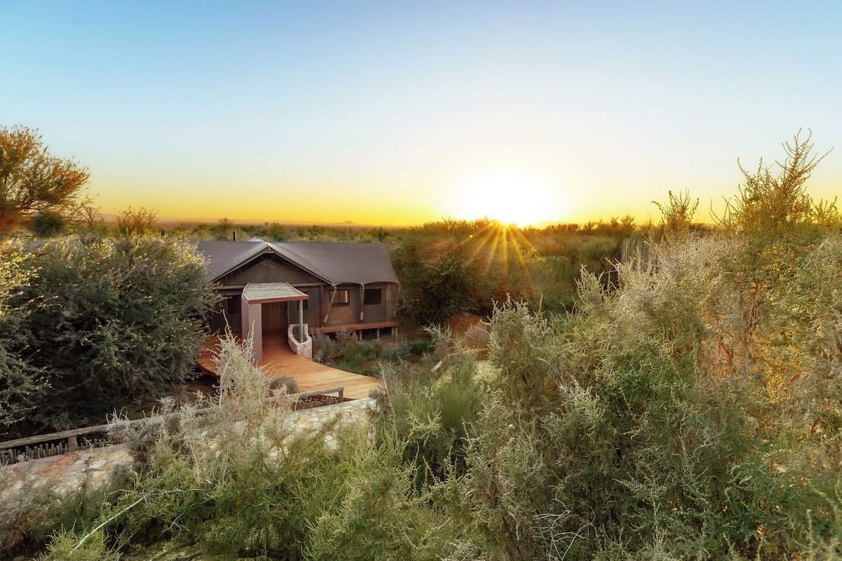 Barraca superluxo | Roupas de cama de algodão egípcio, roupas de cama premium, frigobar