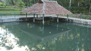 Piscine extérieure (ouverte en saison)