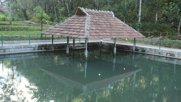 Piscine extérieure (ouverte en saison)