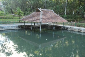 Piscine extérieure (ouverte en saison)