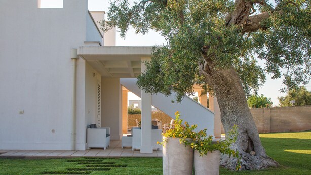 A modern house with a covered outdoor seating area, a large tree, and a well-maintained lawn. - TD Villa Patrizia Pool & Alfresco Kitchen (Monopoli)