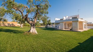 A modern house with a spacious lawn and a large tree. - TD Villa Patrizia Pool & Alfresco Kitchen (Monopoli)
