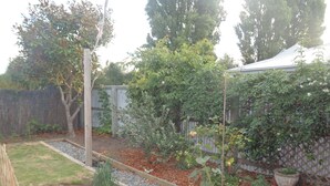 A garden with raised beds, a wooden fence, and a variety of plants.