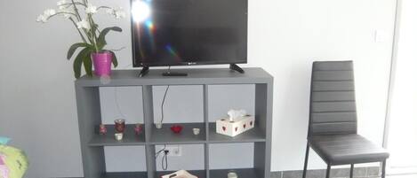 A grey TV stand with a flat-screen TV, a potted orchid, and various items on shelves.