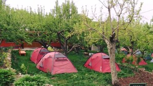 Um camping com tendas vermelhas dispostas em fileiras, cercado por árvores e vegetação.