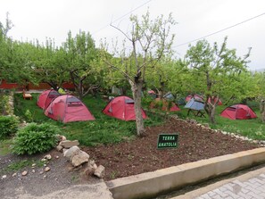 Garden - Taurus Guest House (Çamardi)