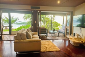 Smart TV, DVD player, books, video library