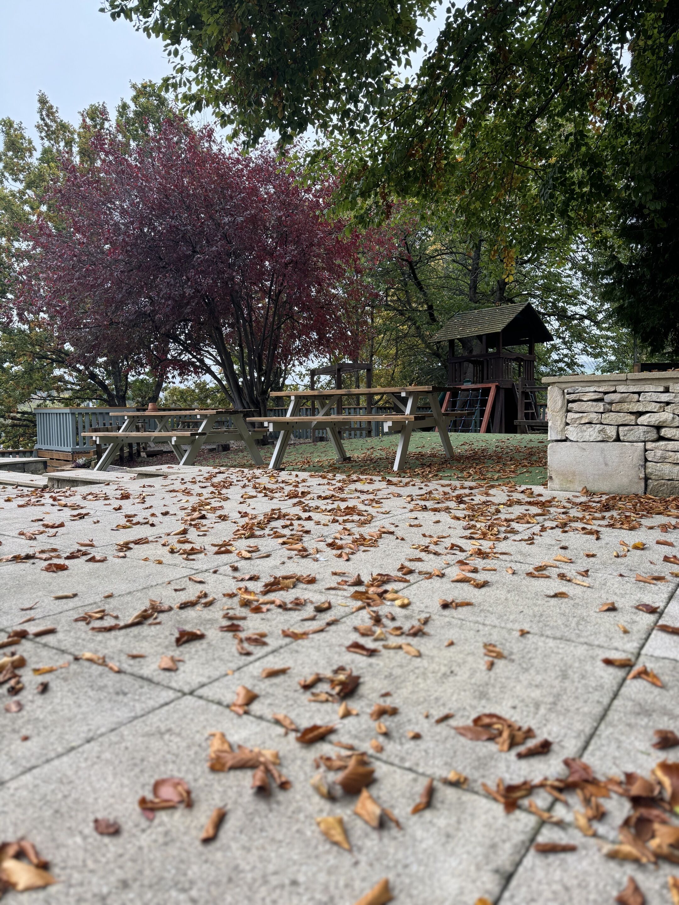 Un parque con una mesa de picnic y muros de piedra.