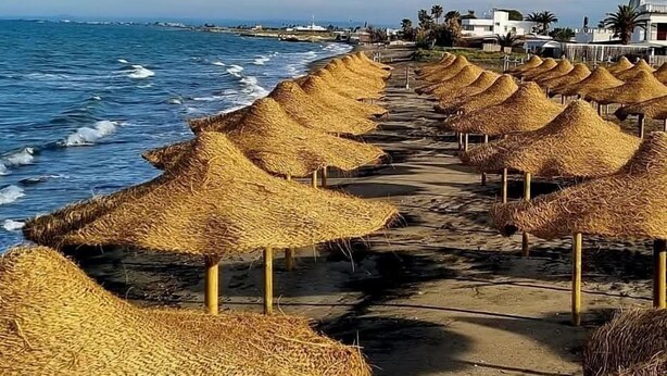 A beach with rows of straw umbrellas and a coastal view. - Beach Club Ippocampo (Manfredonia)