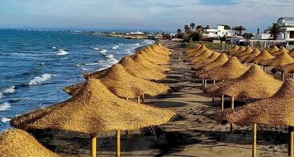 Beach Club Ippocampo
