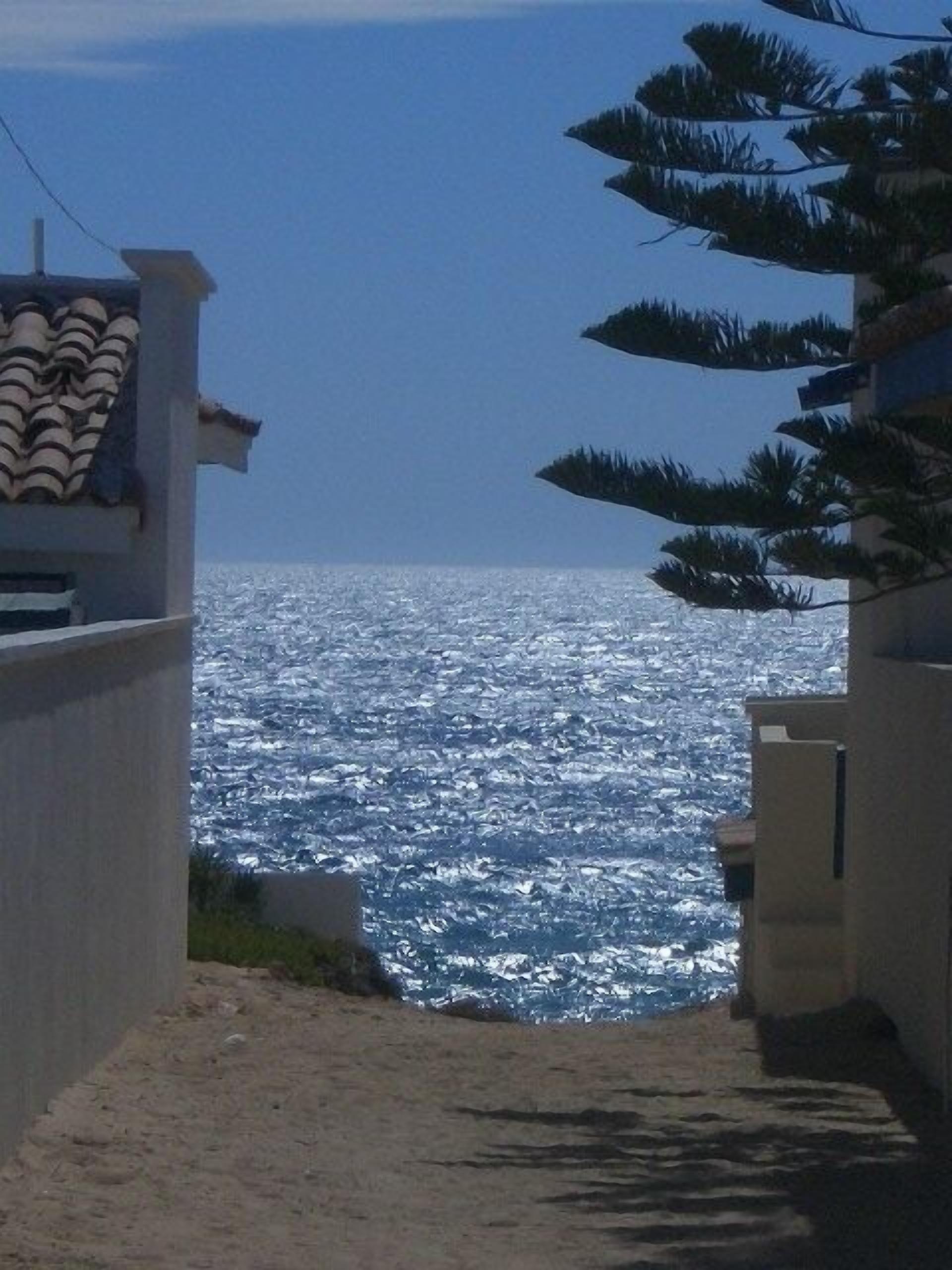 Un sentier étroit qui mène à une plage d’où l’on a une vue dégagée sur l’océan.