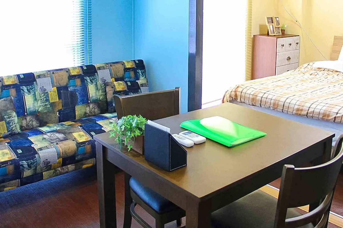 A room with a bed, a sofa, a table with a plant, a phone, and a green folder.