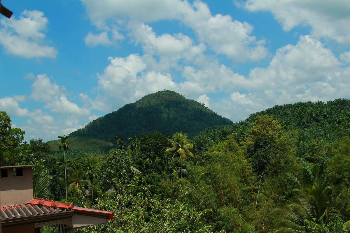 A lush green mountain with dense vegetation and a clear blue sky.