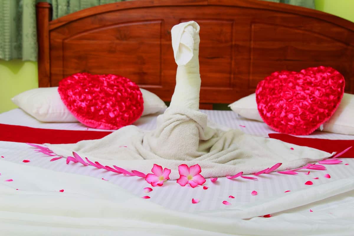 Phòng đôi Deluxe, 2 giường đơn, quang cảnh núi | 1 phòng ngủ, bàn, truy cập Internet không dây miễn phí