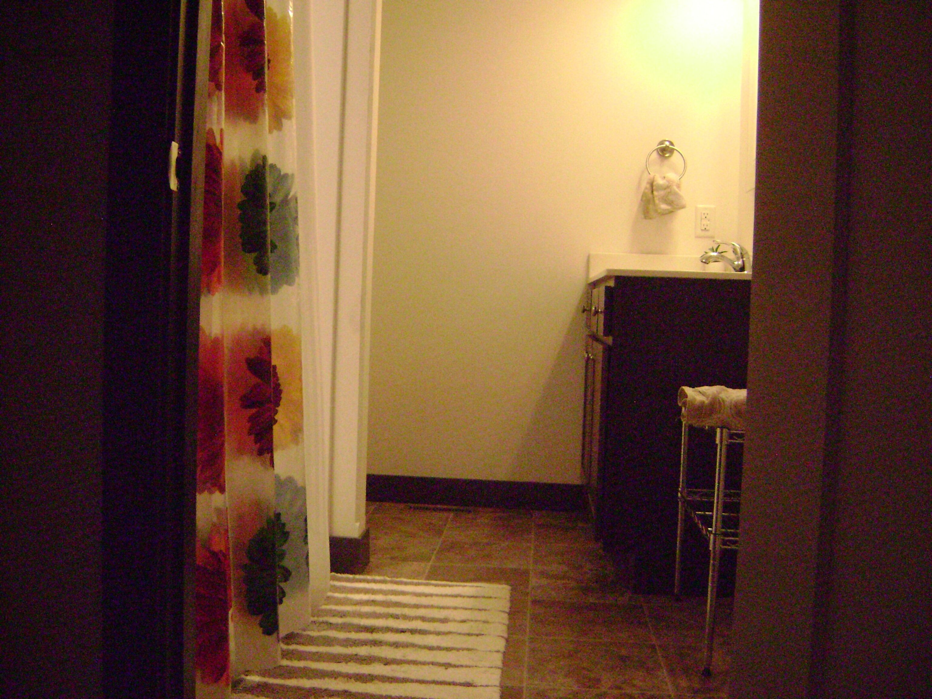 Un pasillo estrecho con un cortinero estampado, una planta pequeña y un suelo de baldosas que conduce a un baño con un lavabo y un perchero.