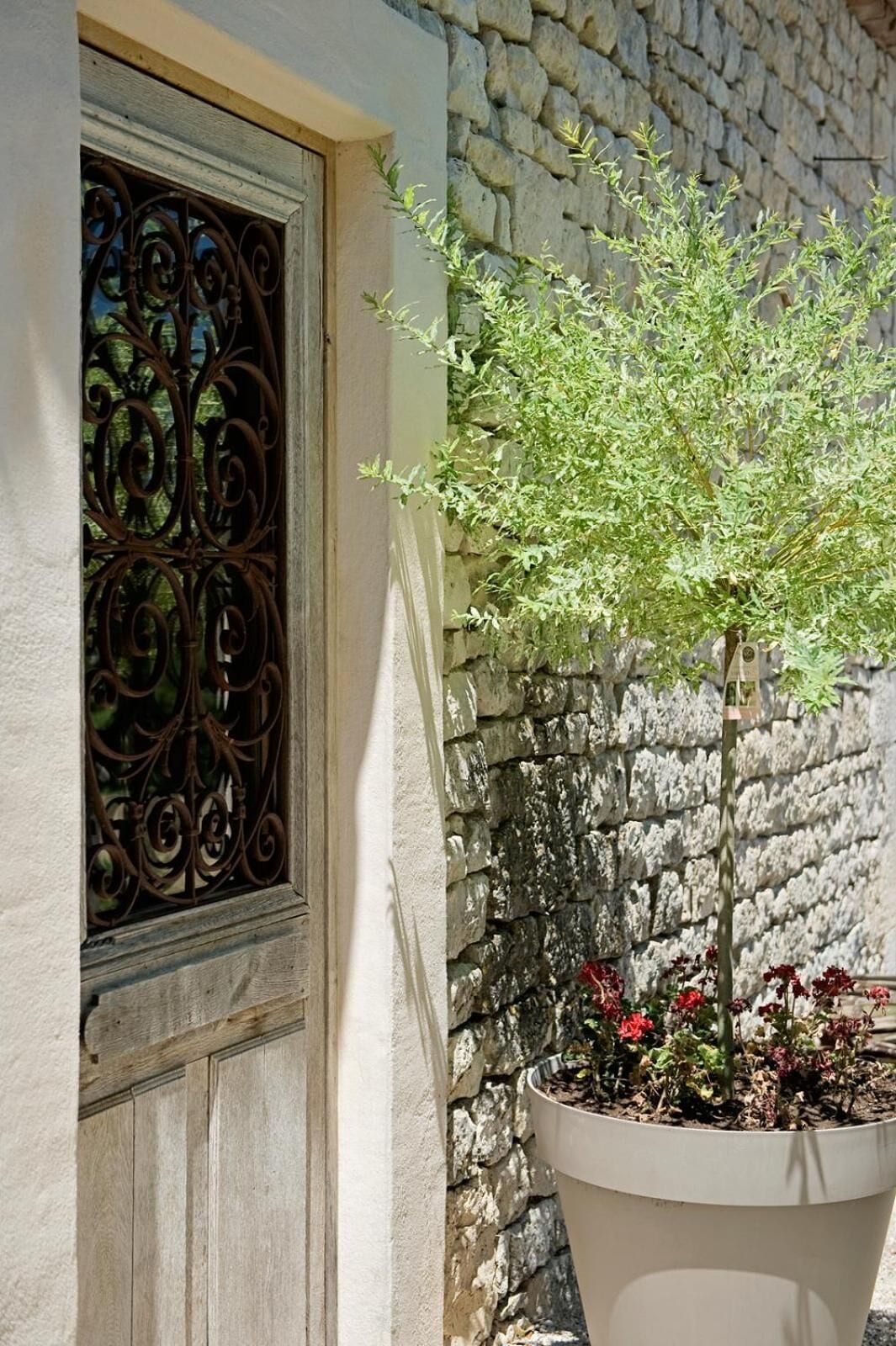 A window with ornate metalwork, a potted plant with green foliage and red flowers, and a stone wall.