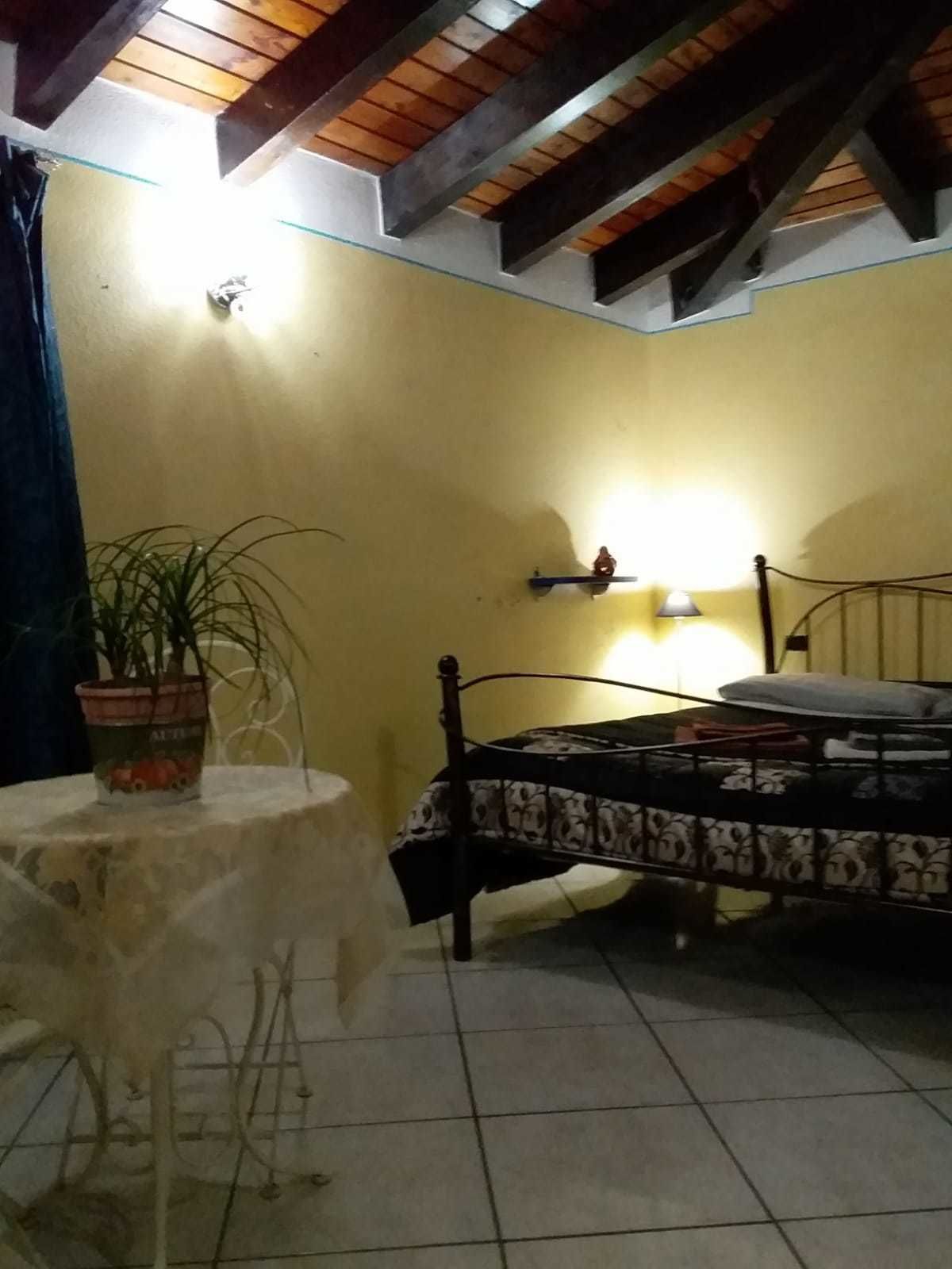 A small room with a bed, a table, and a potted plant.
