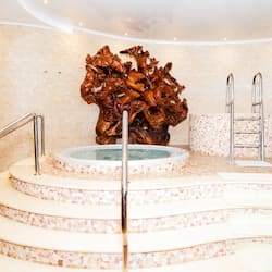 Sauna, hot tub, steam room, Turkish bath/hammam, body treatments