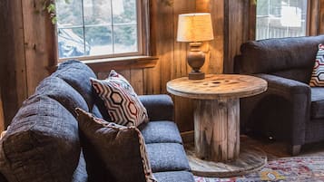 TV, fireplace, books