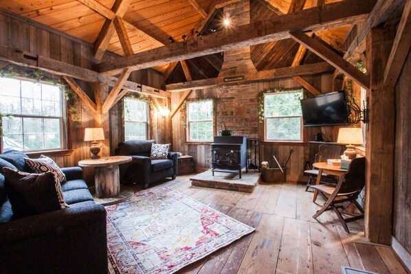 TV, fireplace, books