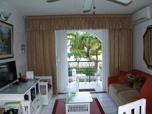 Smart TV, libros y estéreo 