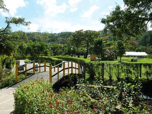 Áreas de la propiedad