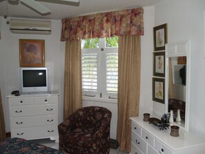 Smart TV, books, stereo - Beautiful Beachfront 1 Bedroom Condo, D15 Ocho Rios Jamaica                 (Ocho Rios)