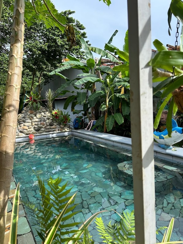 A clear pool with stone tiles, surrounded by tropical plants and a stone wall.