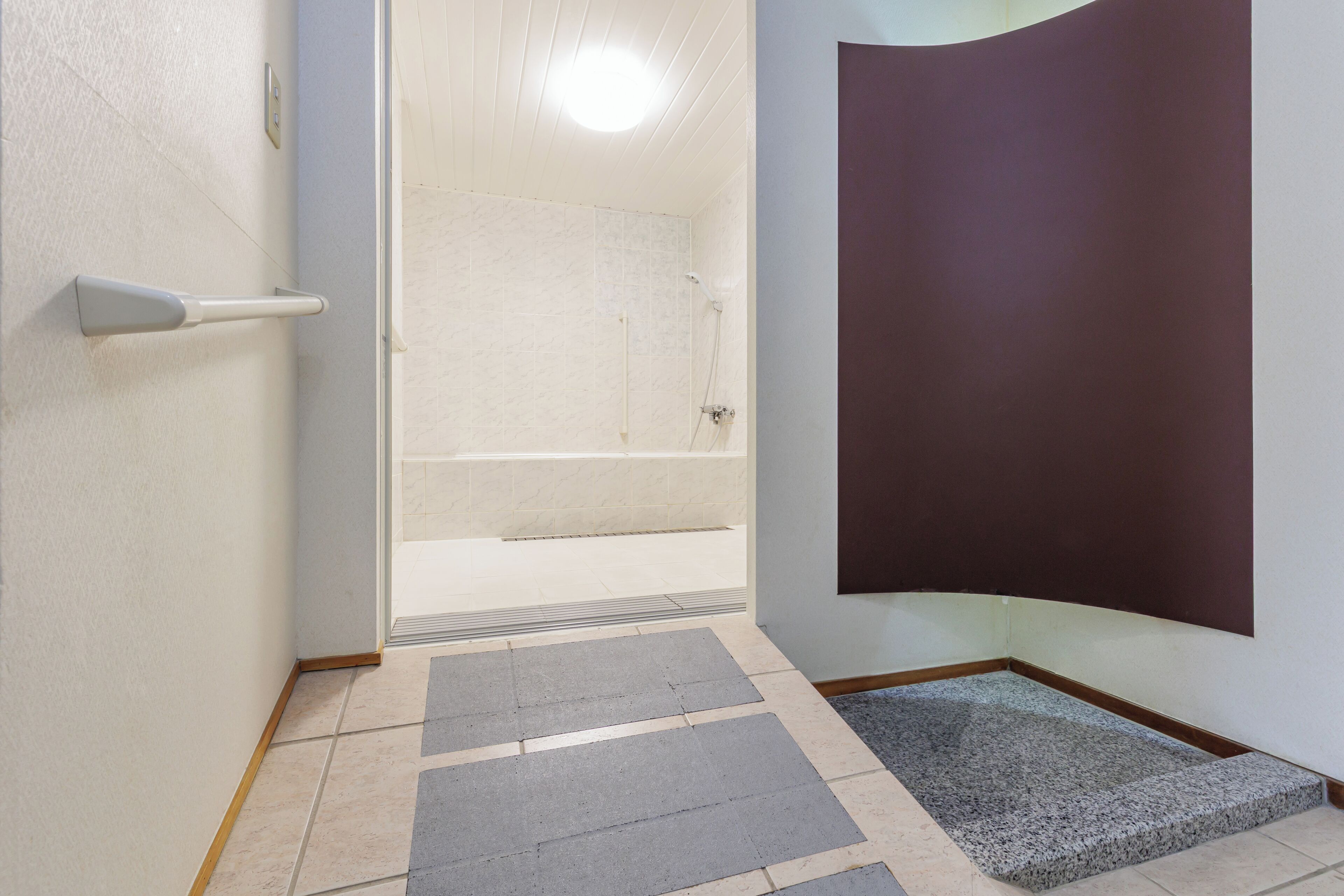 Un baño con ducha, perchero y alfombra.