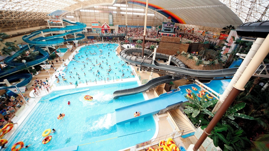 스파 리조트 하와이안스 호텔 하와이안스