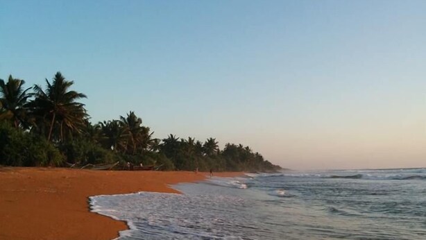 Una playa con aguas cristalinas, palmeras y una orilla arenosa.