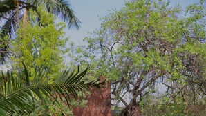 Un jardín con una fuente, una estatua de león y un muro de roca roja.