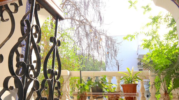 Un balcón con un arco decorativo, plantas en macetas y vistas a árboles.