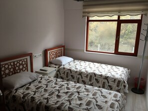 Phòng đôi hoặc 2 giường đơn | Bàn ủi/dụng cụ ủi quần áo, nôi (giường cho trẻ sơ sinh) miễn phí 