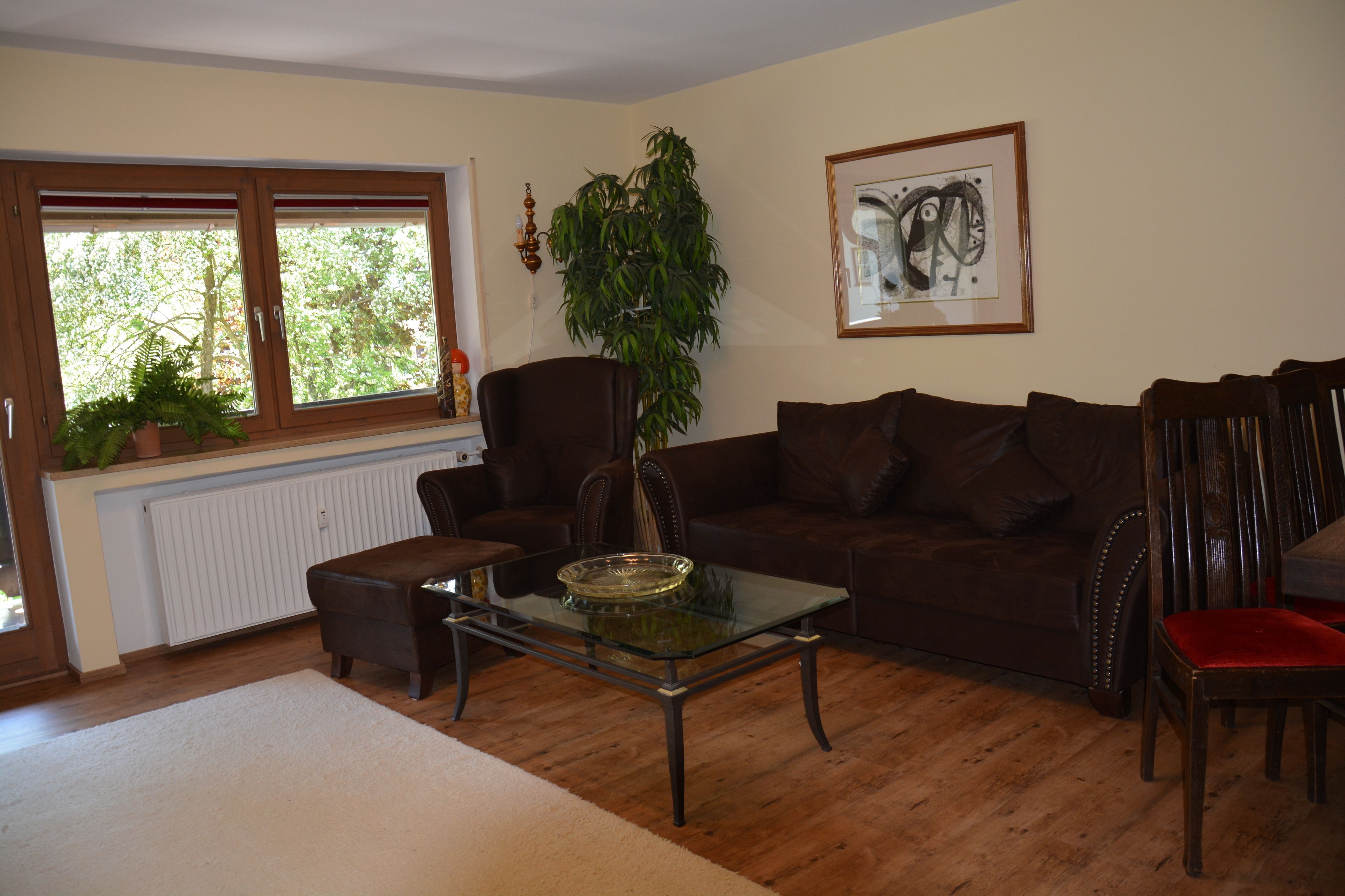 A living room with a glass coffee table, brown leather sofa, and a large green plant.
