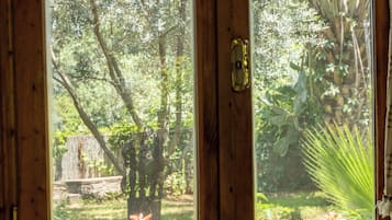 Casa de árbol económica | Vista desde la habitación