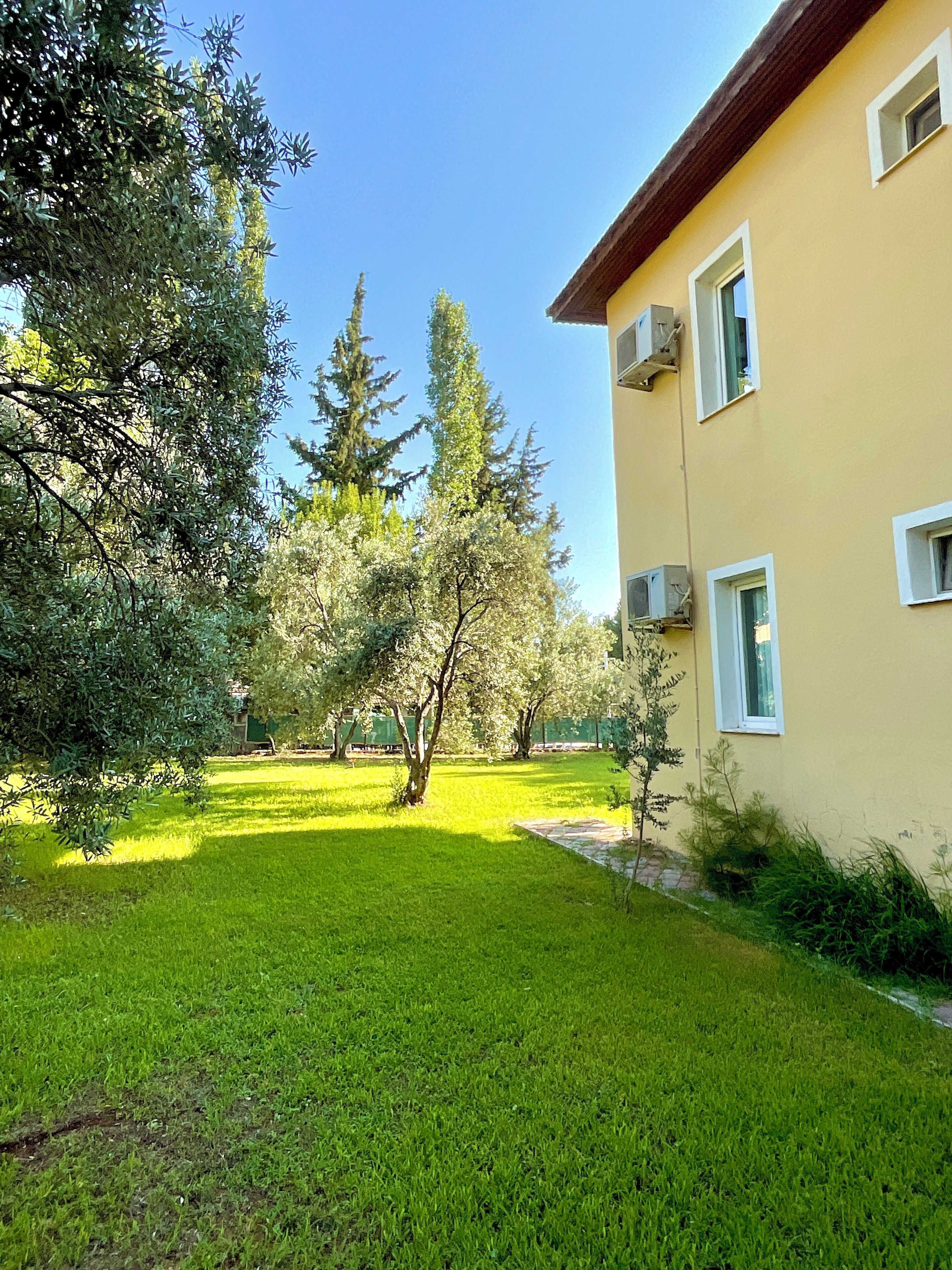 A courtyard with a lawn, trees, and a building with multiple windows.