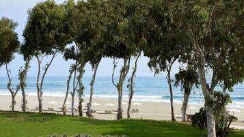 Una playa con filas de árboles y sombrillas.
