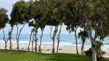 A beach with trees, a sandy shore, and umbrellas.