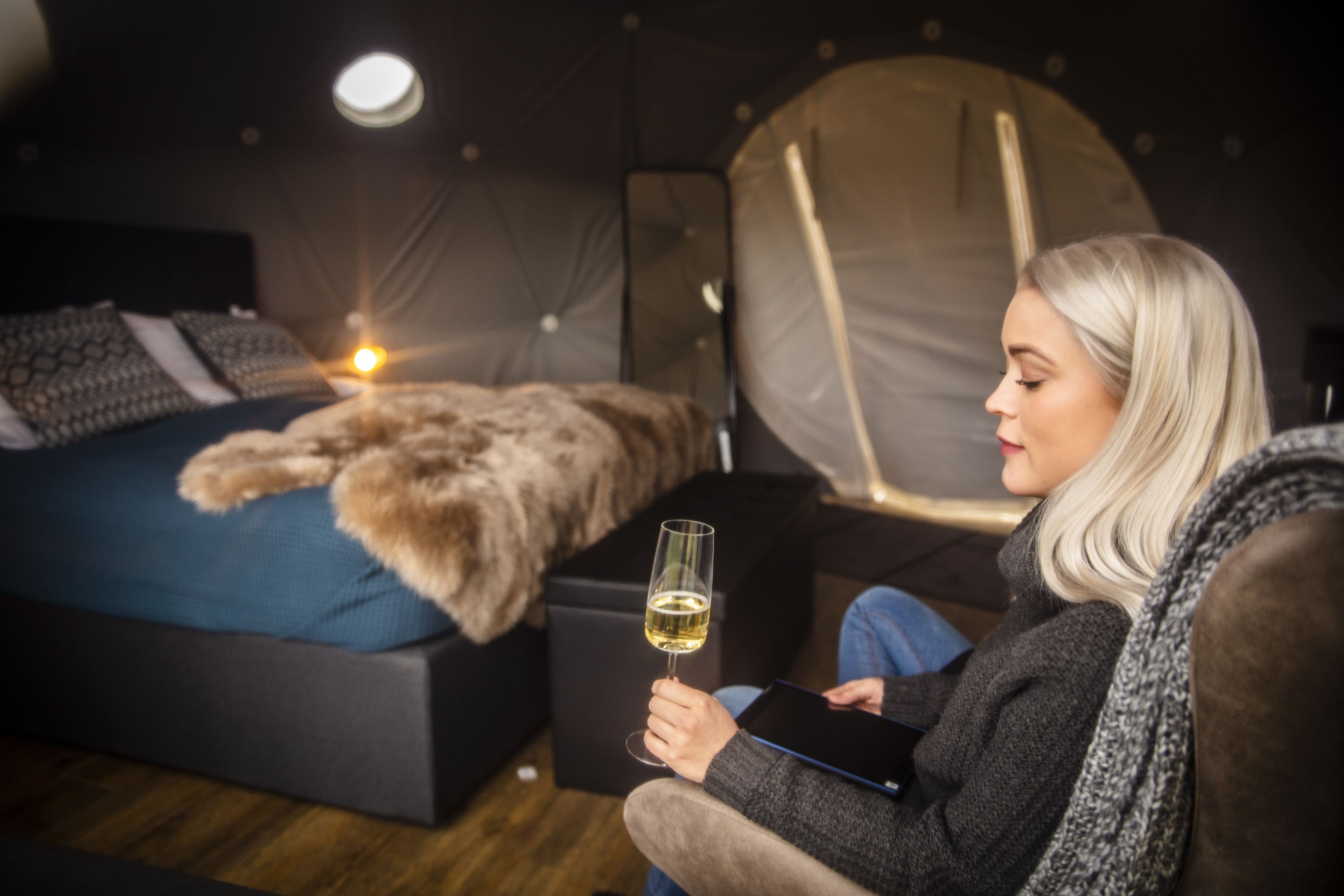 Foto - Reykjavik Domes