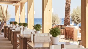 A covered outdoor seating area with wooden tables and chairs, potted plants, and a view of the sea.