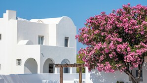 A white building with arches, a wooden pergola, and a pink flowering tree.
